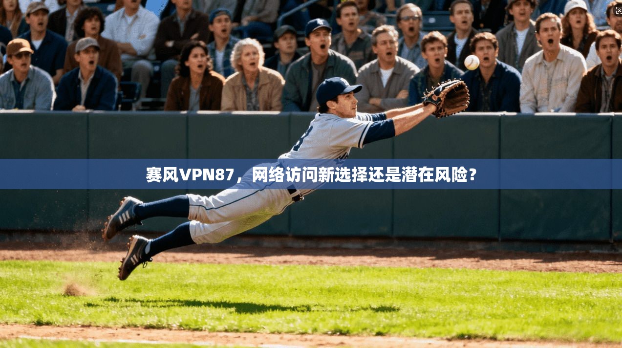 赛风VPN87，网络访问新选择还是潜在风险？