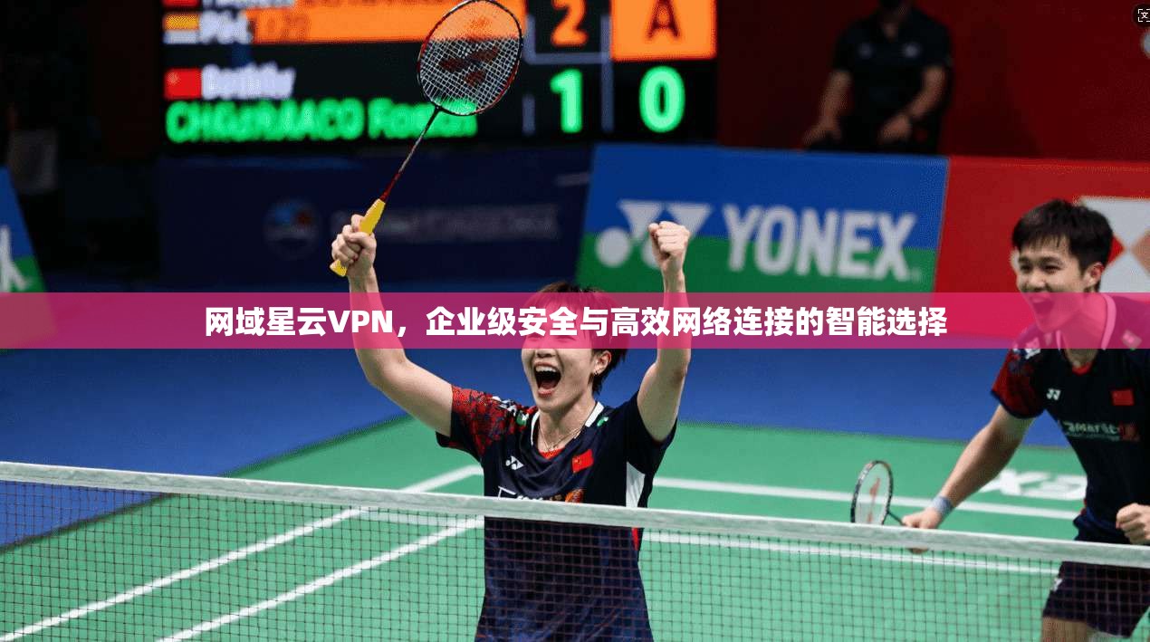 网域星云VPN，企业级安全与高效网络连接的智能选择