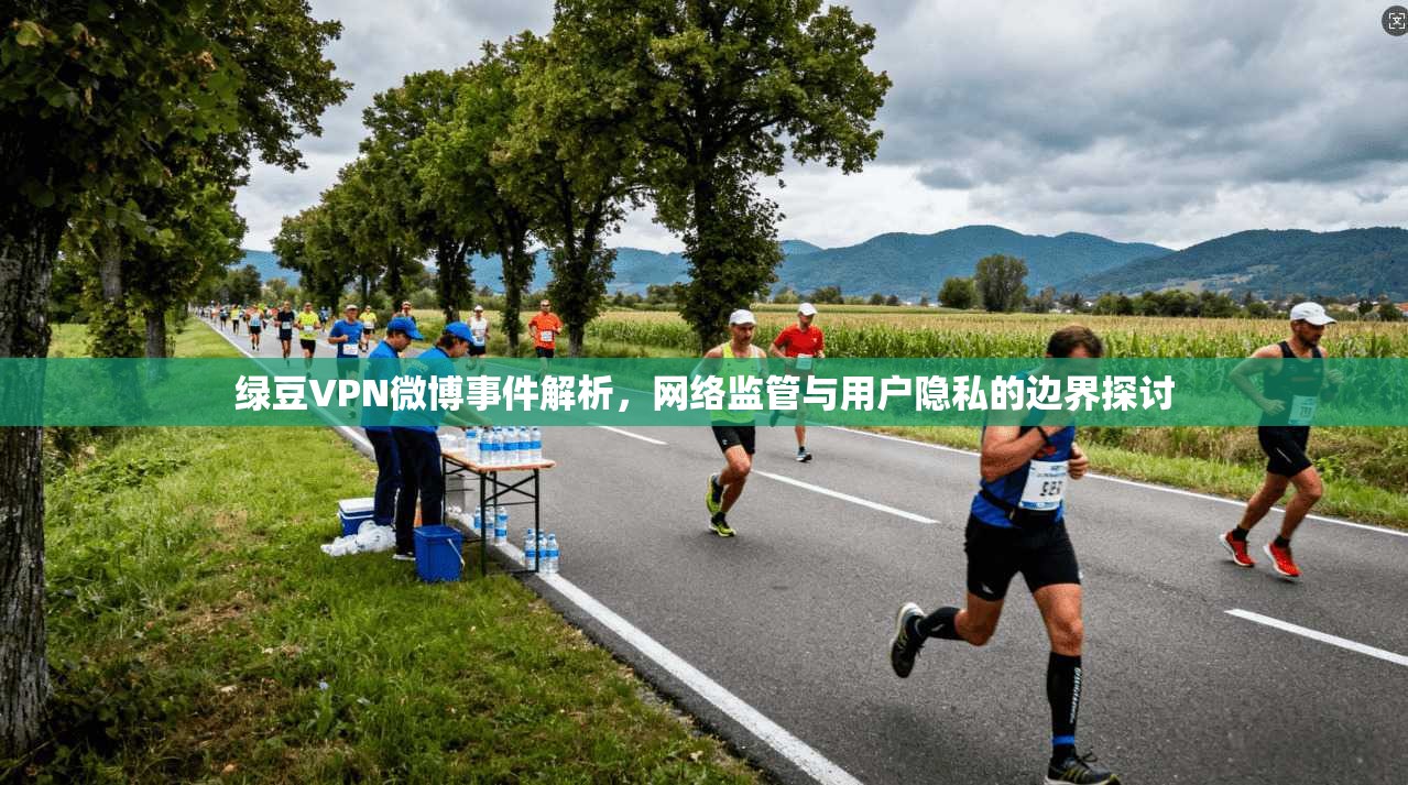 绿豆VPN微博事件解析，网络监管与用户隐私的边界探讨