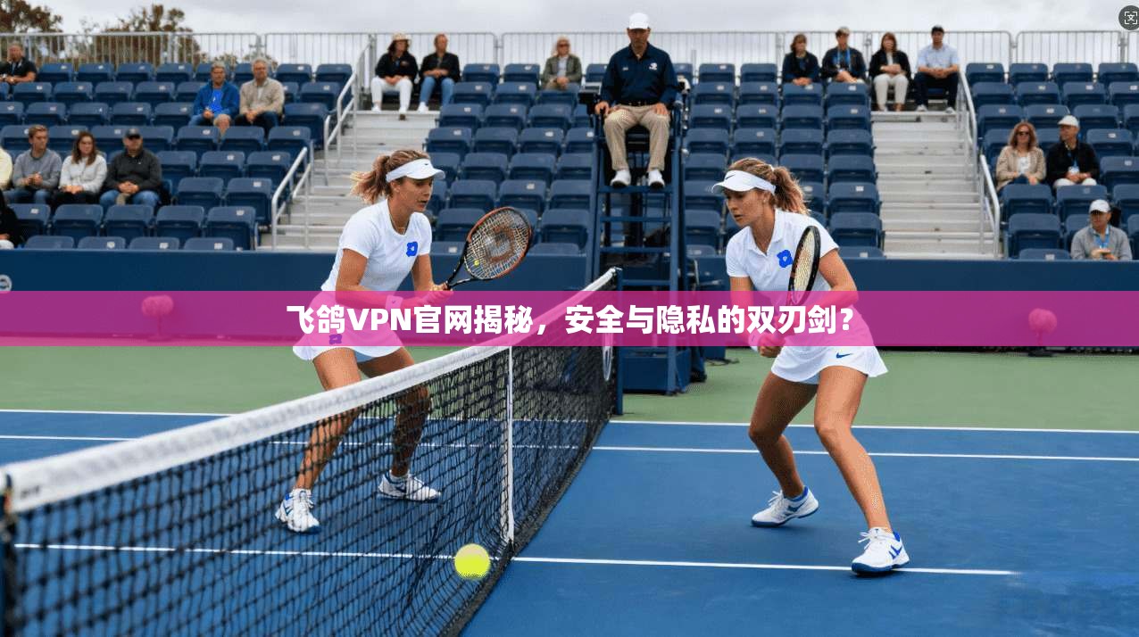 飞鸽VPN官网揭秘，安全与隐私的双刃剑？