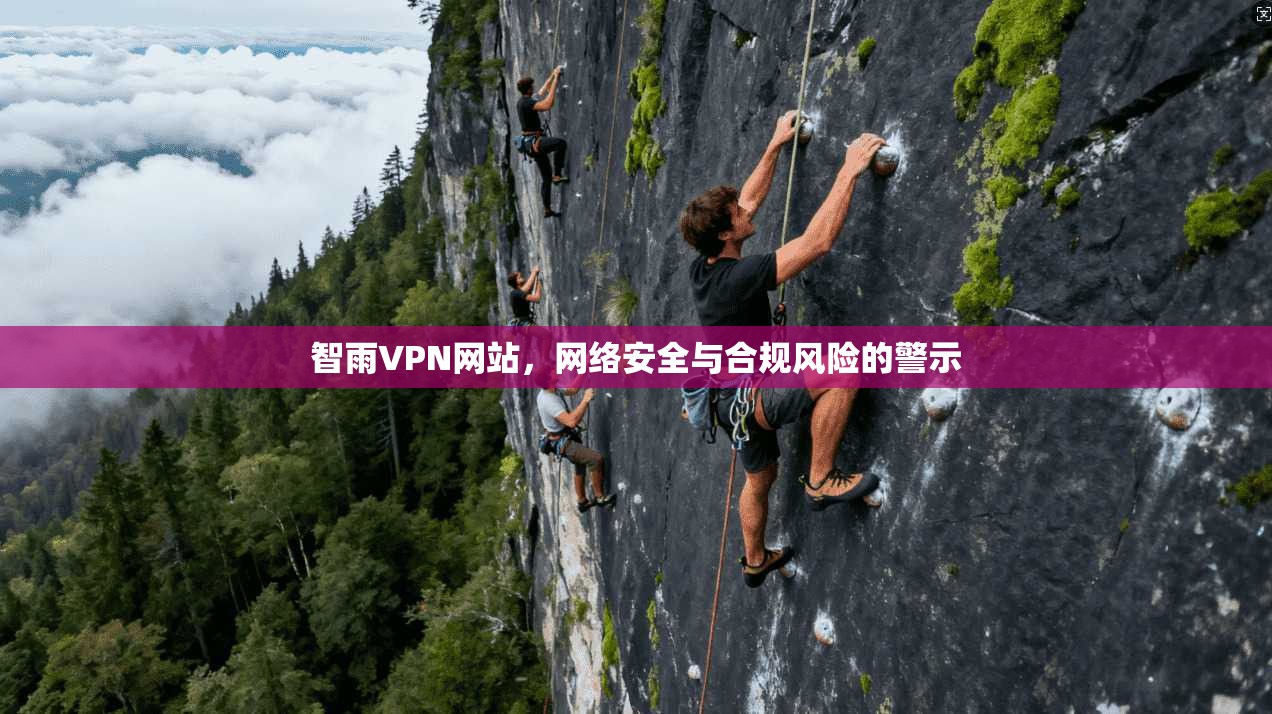 智雨VPN网站，网络安全与合规风险的警示