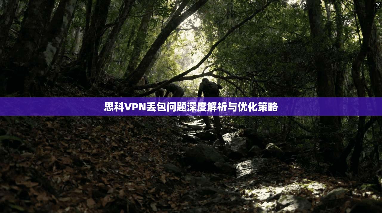 思科VPN丢包问题深度解析与优化策略