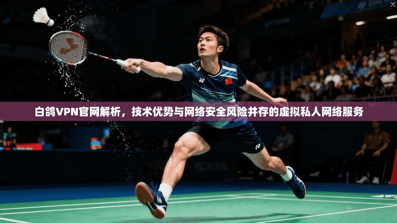白鸽VPN官网解析，技术优势与网络安全风险并存的虚拟私人网络服务