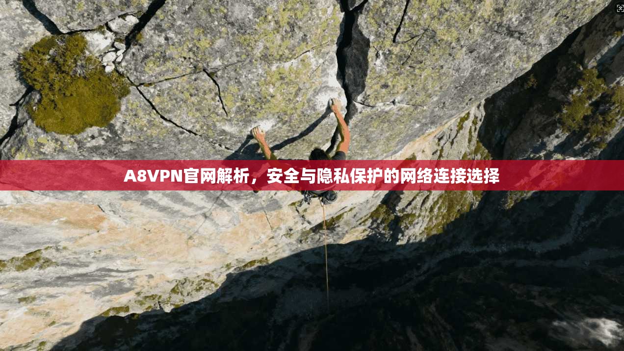 A8VPN官网解析，安全与隐私保护的网络连接选择