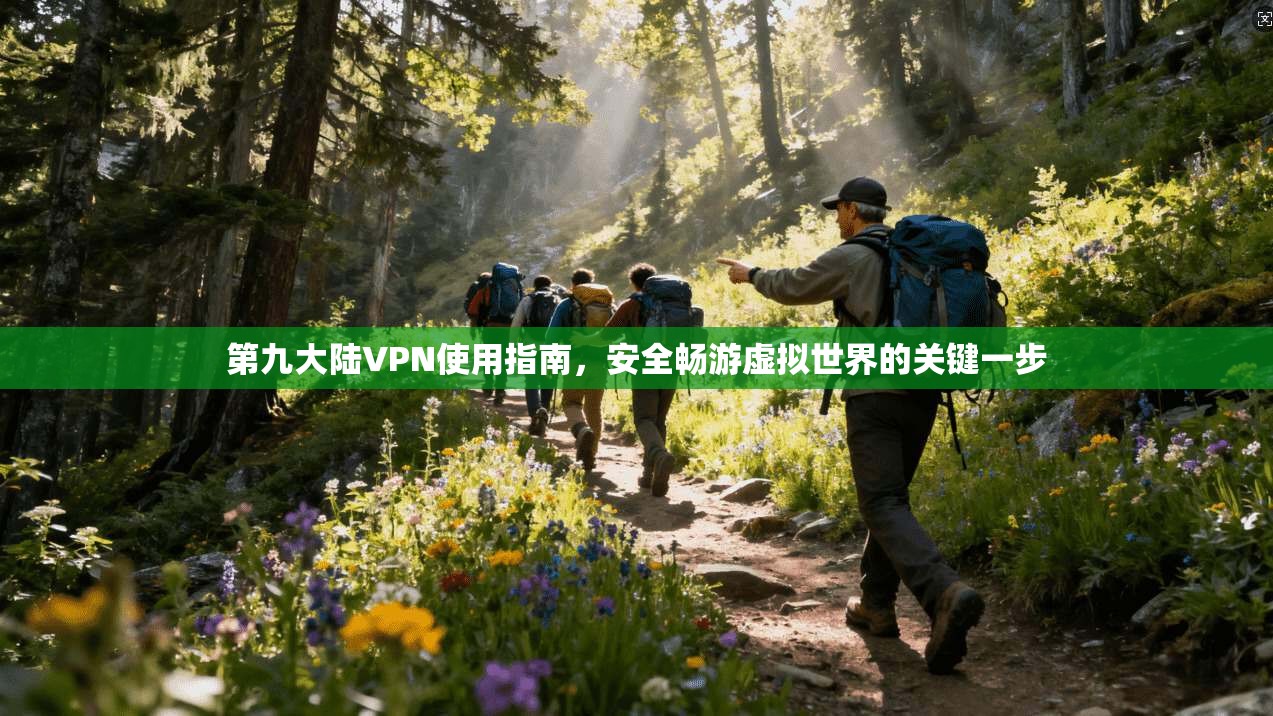 第九大陆VPN使用指南，安全畅游虚拟世界的关键一步