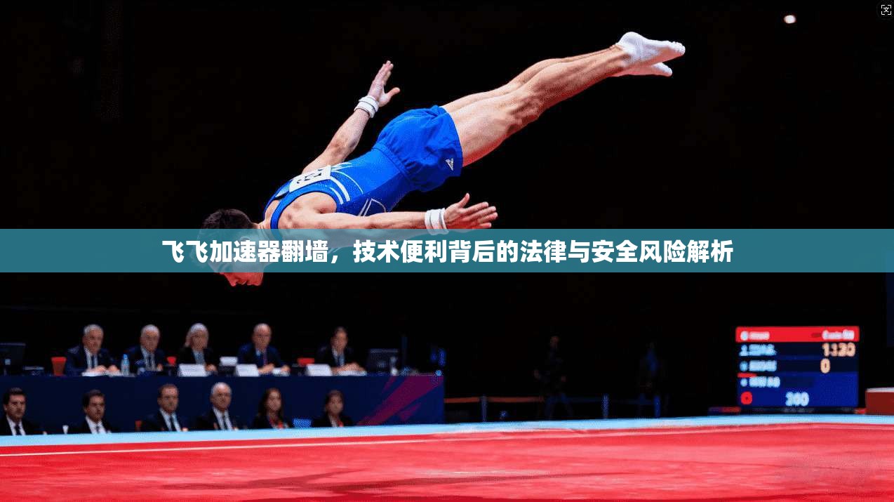 飞飞加速器翻墙，技术便利背后的法律与安全风险解析