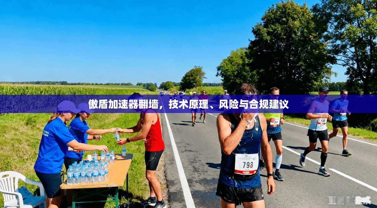 傲盾加速器翻墙，技术原理、风险与合规建议