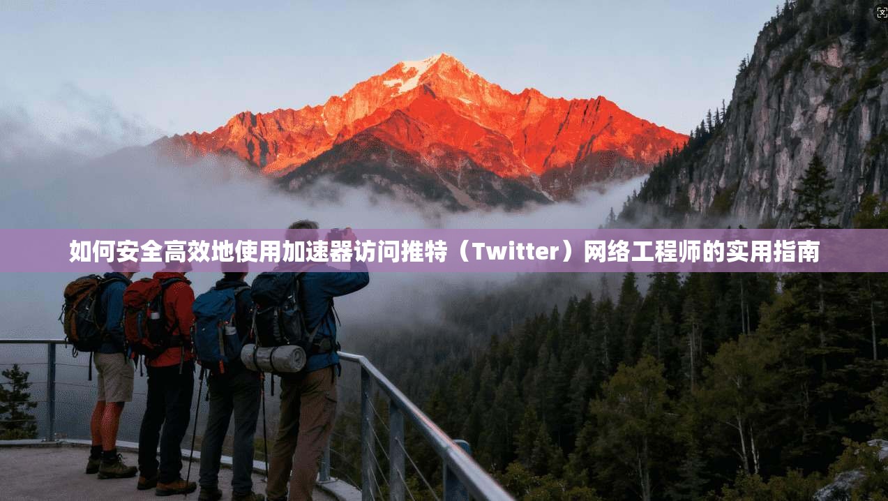 如何安全高效地使用加速器访问推特（Twitter）网络工程师的实用指南