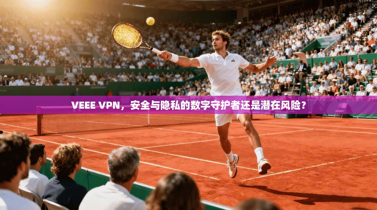VEEE VPN,安全与隐私的数字守护者还是潜在风险? VEEE VPN,安全与隐私的数字守护者还是潜在风险?
