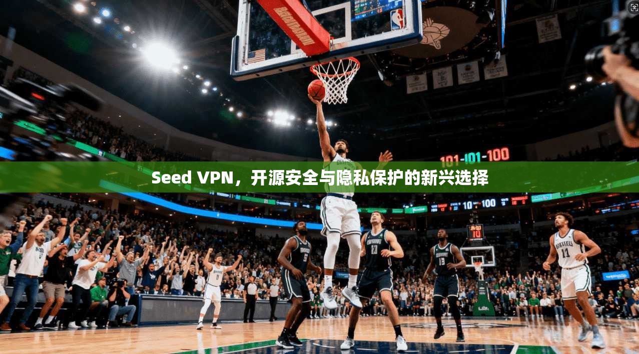 Seed VPN，开源安全与隐私保护的新兴选择