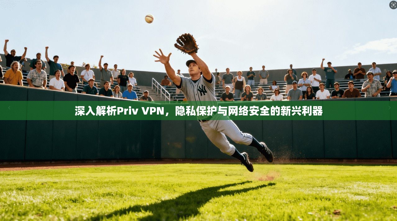 深入解析Priv VPN，隐私保护与网络安全的新兴利器
