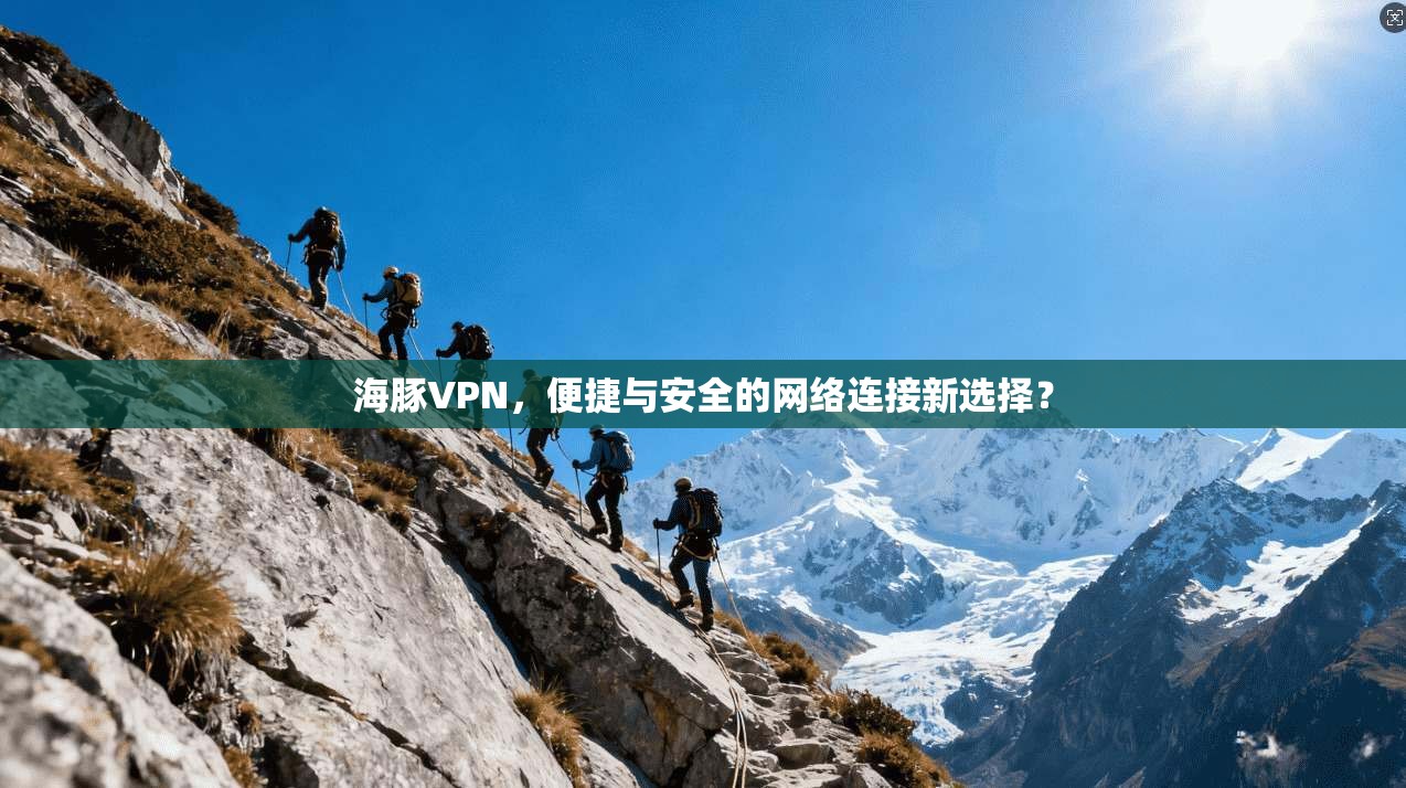 海豚VPN，便捷与安全的网络连接新选择？