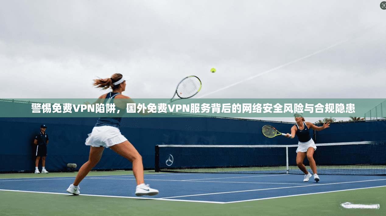 警惕免费VPN陷阱，国外免费VPN服务背后的网络安全风险与合规隐患