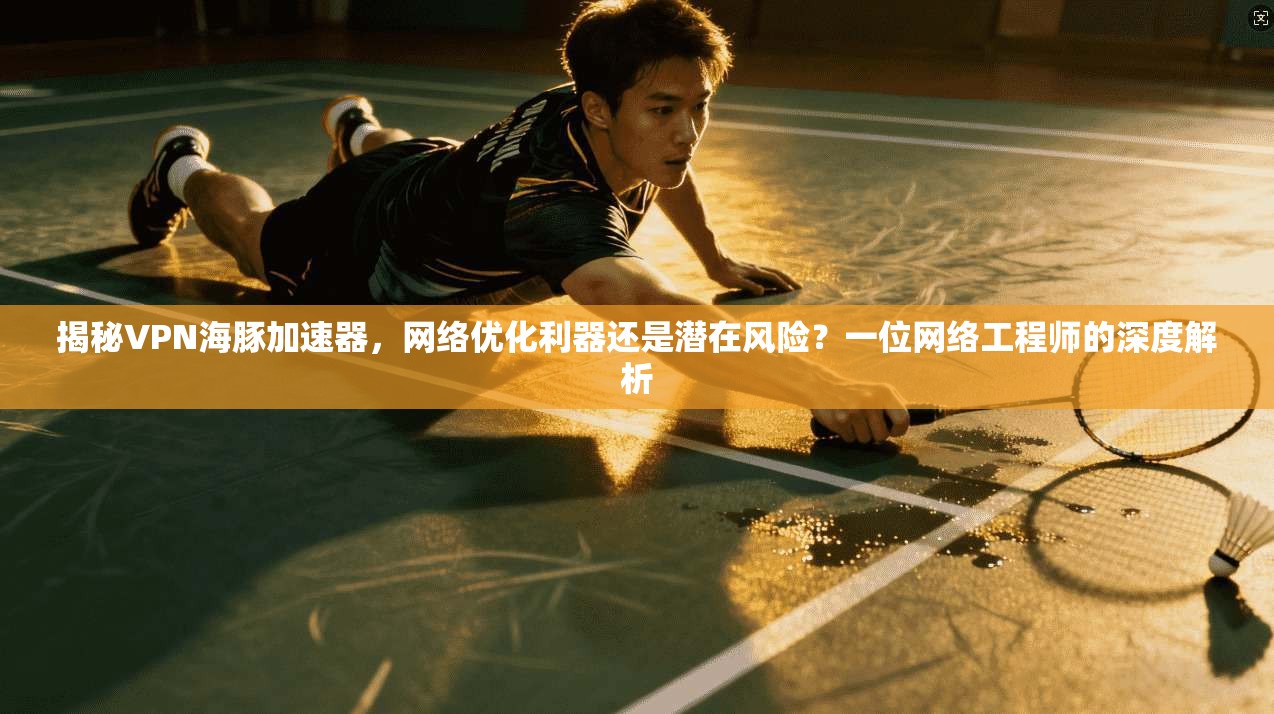 揭秘VPN海豚加速器，网络优化利器还是潜在风险？一位网络工程师的深度解析