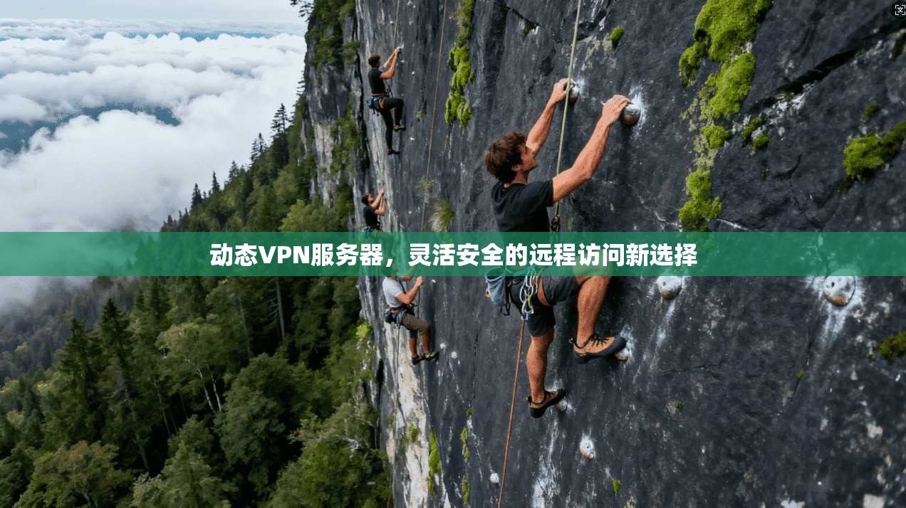 动态VPN服务器，灵活安全的远程访问新选择