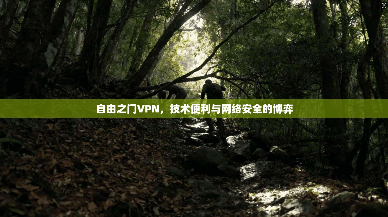 自由之门VPN，技术便利与网络安全的博弈