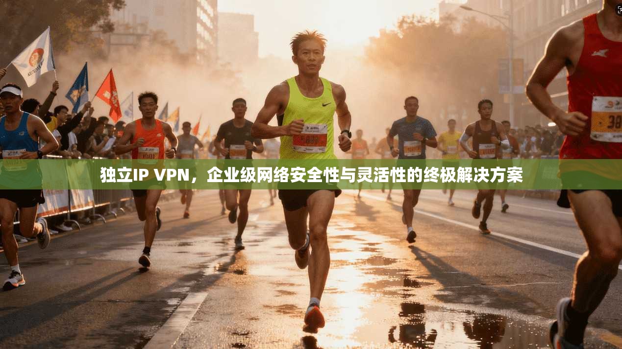 独立IP VPN，企业级网络安全性与灵活性的终极解决方案