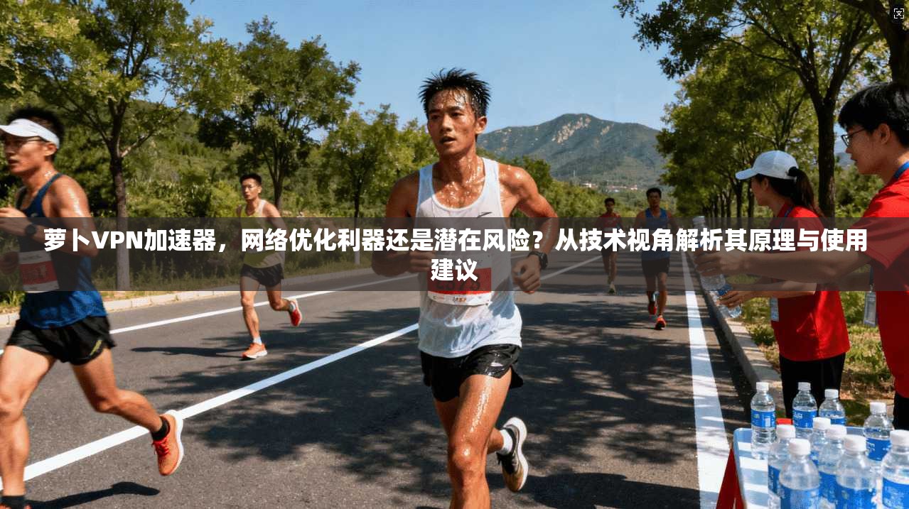 萝卜VPN加速器，网络优化利器还是潜在风险？从技术视角解析其原理与使用建议