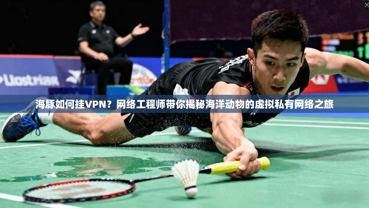 海豚如何挂VPN？网络工程师带你揭秘海洋动物的虚拟私有网络之旅