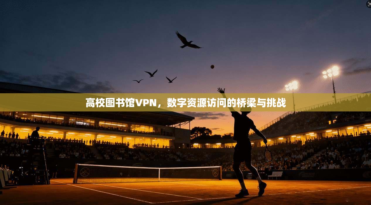 高校图书馆VPN，数字资源访问的桥梁与挑战