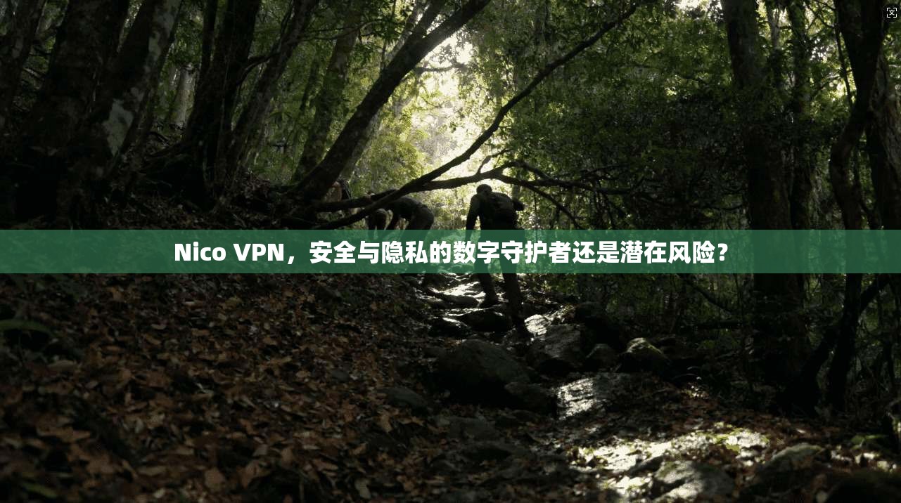Nico VPN,安全与隐私的数字守护者还是潜在风险? Nico VPN,安全与隐私的数字守护者还是潜在风险?