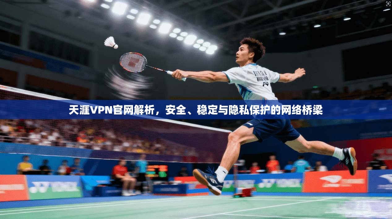 天涯VPN官网解析，安全、稳定与隐私保护的网络桥梁