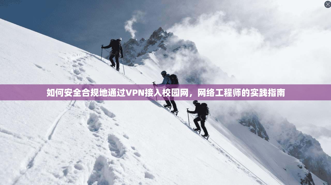 如何安全合规地通过VPN接入校园网，网络工程师的实践指南