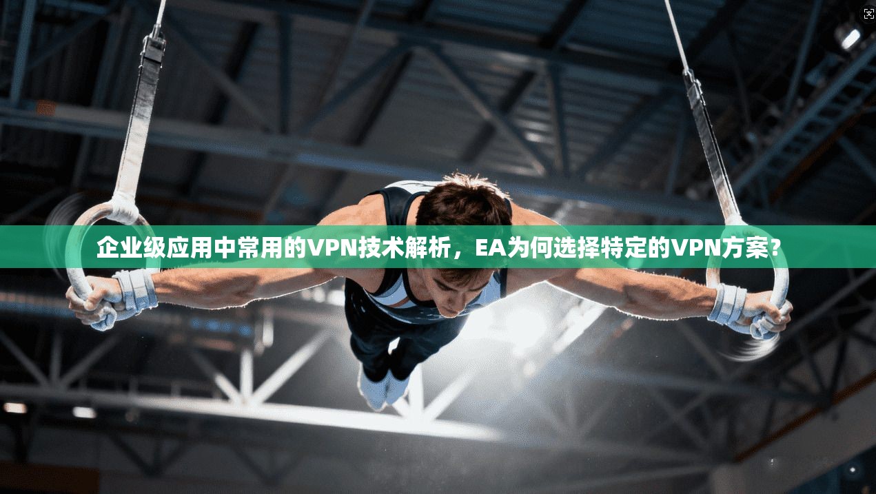 企业级应用中常用的VPN技术解析，EA为何选择特定的VPN方案？