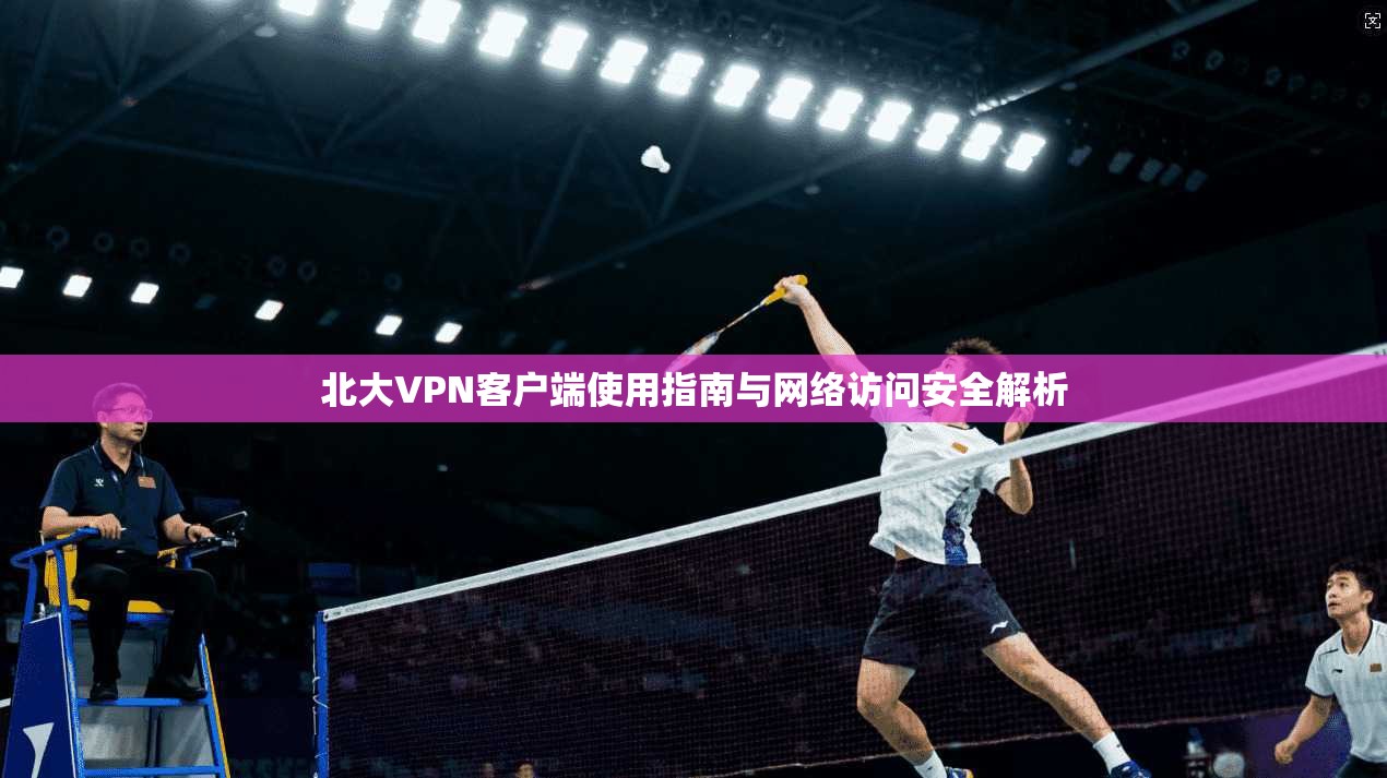 北大VPN客户端使用指南与网络访问安全解析