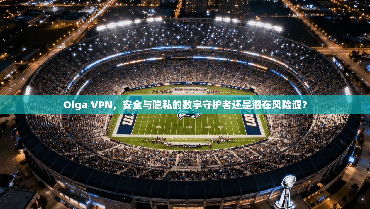 Olga VPN，安全与隐私的数字守护者还是潜在风险源？