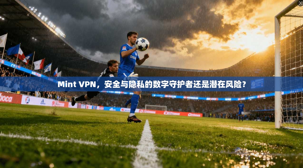 Mint VPN，安全与隐私的数字守护者还是潜在风险？