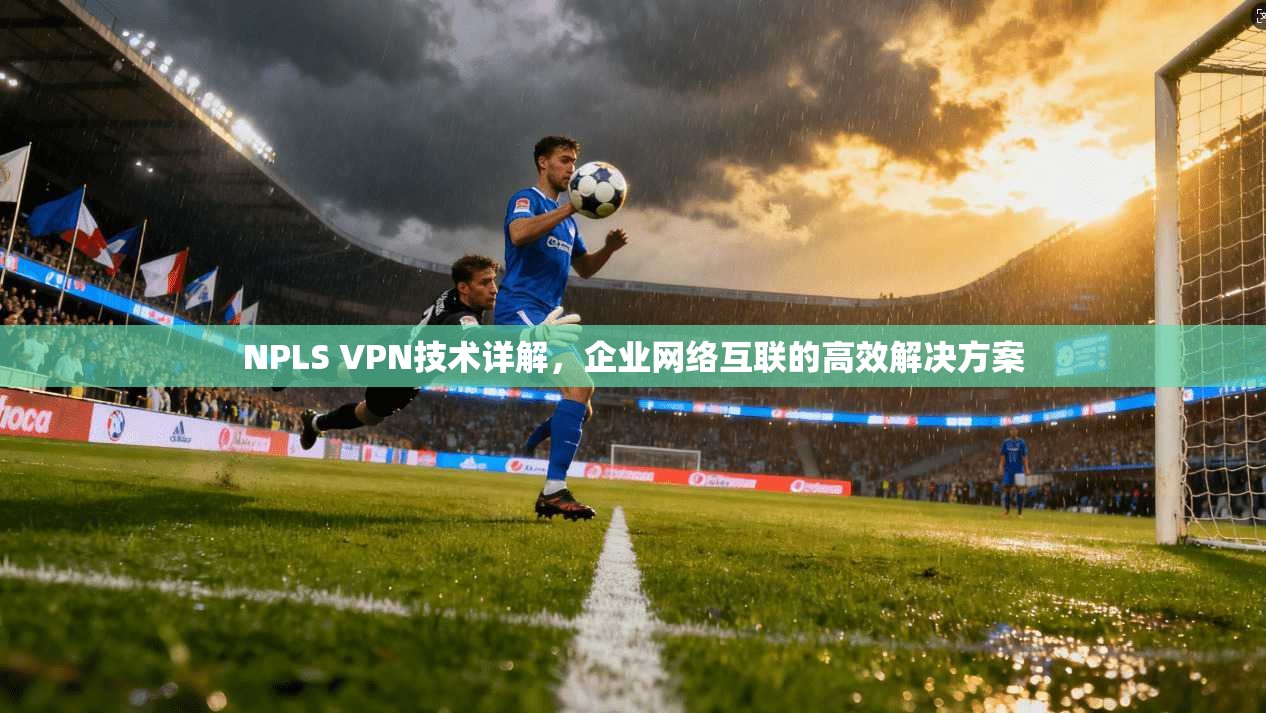 NPLS VPN技术详解，企业网络互联的高效解决方案