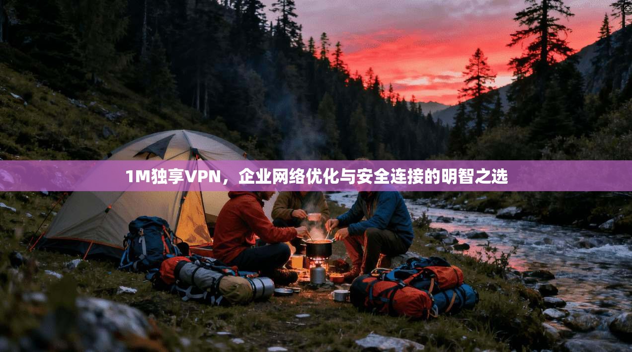 1M独享VPN，企业网络优化与安全连接的明智之选