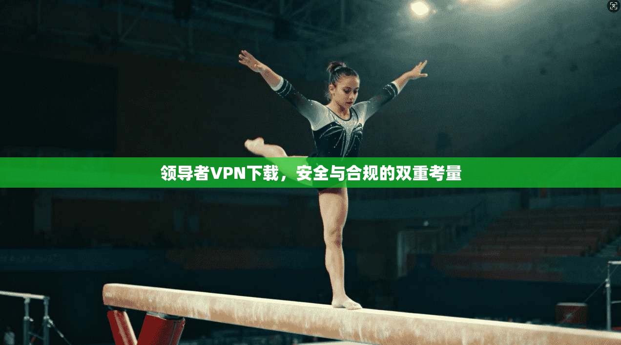 领导者VPN下载，安全与合规的双重考量
