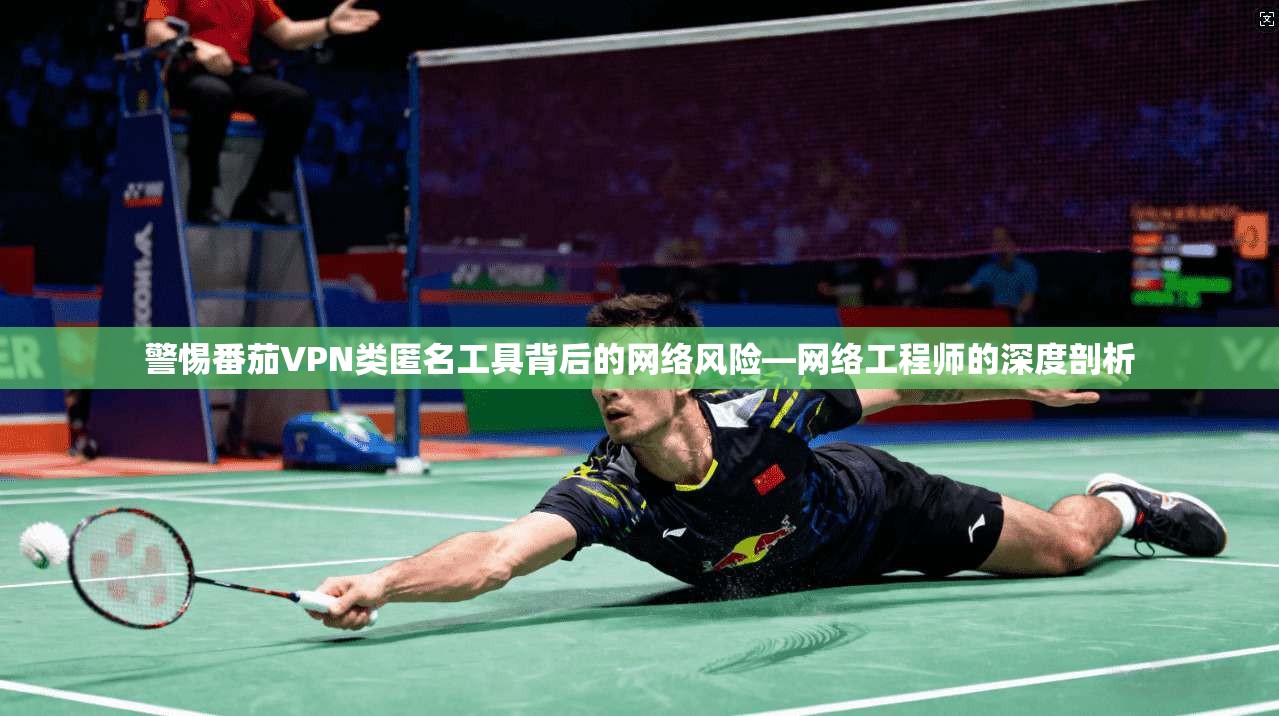 警惕番茄VPN类匿名工具背后的网络风险—网络工程师的深度剖析 警惕番茄VPN类匿名工具背后的网络风险—网络工程师的深度剖析