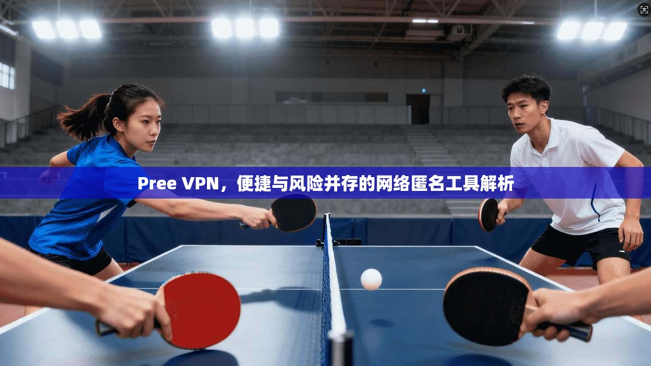 Pree VPN，便捷与风险并存的网络匿名工具解析