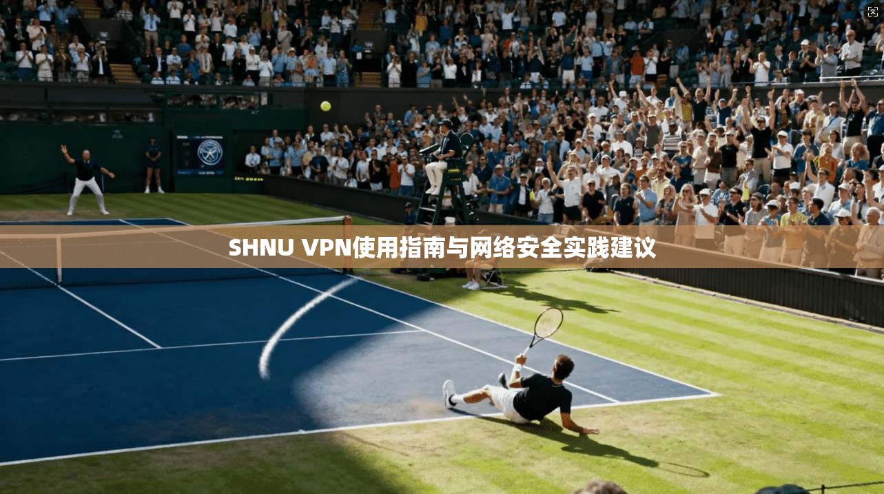 SHNU VPN使用指南与网络安全实践建议