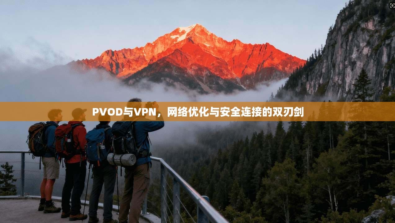 PVOD与VPN，网络优化与安全连接的双刃剑