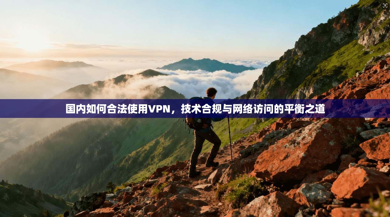 国内如何合法使用VPN，技术合规与网络访问的平衡之道