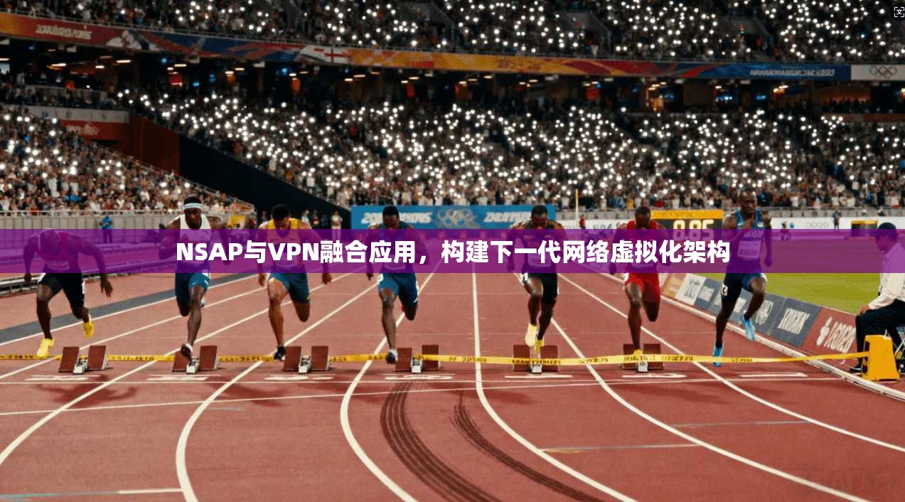 NSAP与VPN融合应用，构建下一代网络虚拟化架构