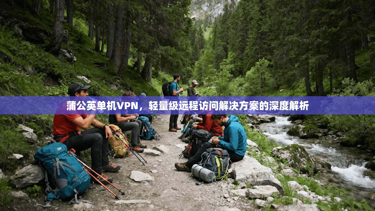 蒲公英单机VPN，轻量级远程访问解决方案的深度解析