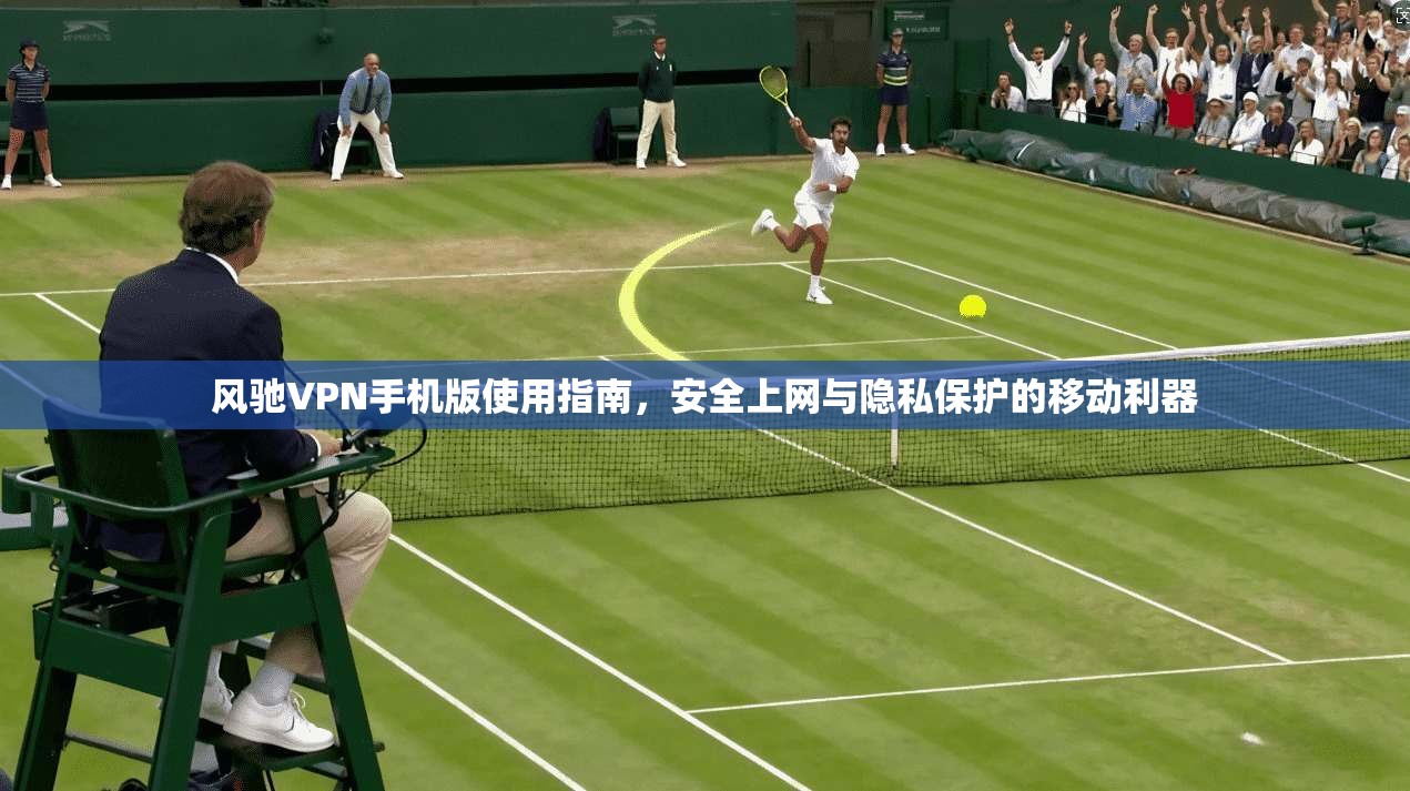 风驰VPN手机版使用指南，安全上网与隐私保护的移动利器