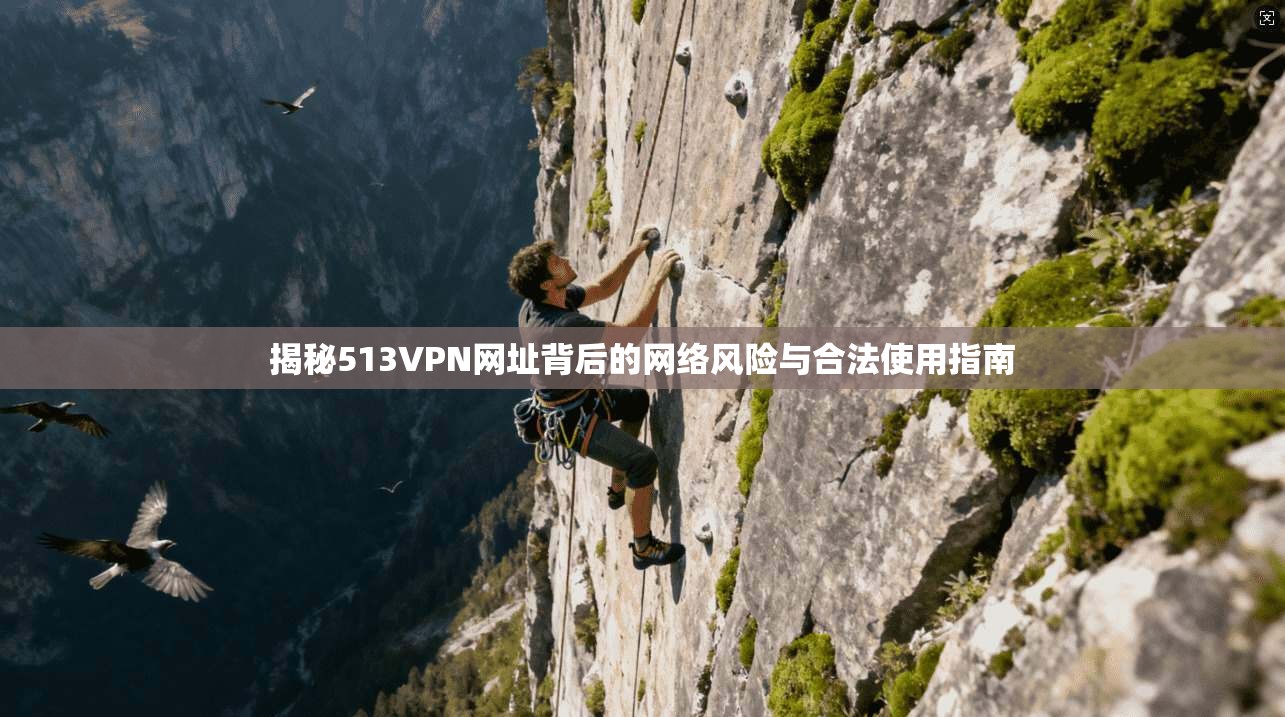 揭秘513VPN网址背后的网络风险与合法使用指南 揭秘513VPN网址背后的网络风险与合法使用指南