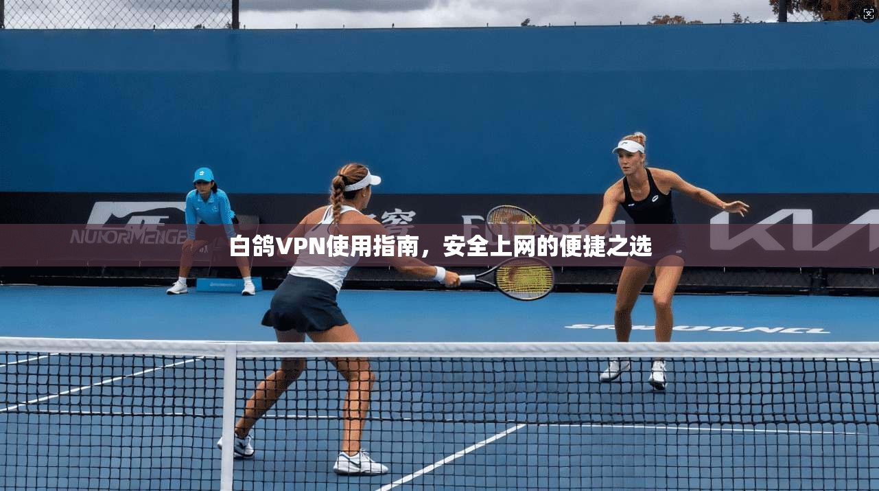 白鸽VPN使用指南,安全上网的便捷之选 白鸽VPN使用指南,安全上网的便捷之选