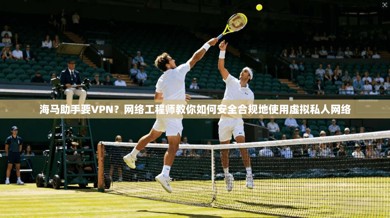 海马助手要VPN？网络工程师教你如何安全合规地使用虚拟私人网络