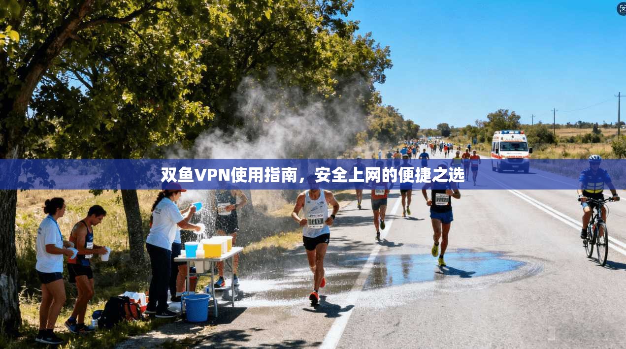 双鱼VPN使用指南，安全上网的便捷之选
