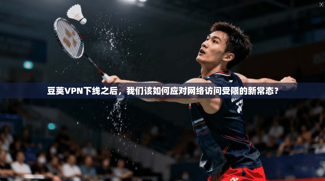 豆荚VPN下线之后，我们该如何应对网络访问受限的新常态？