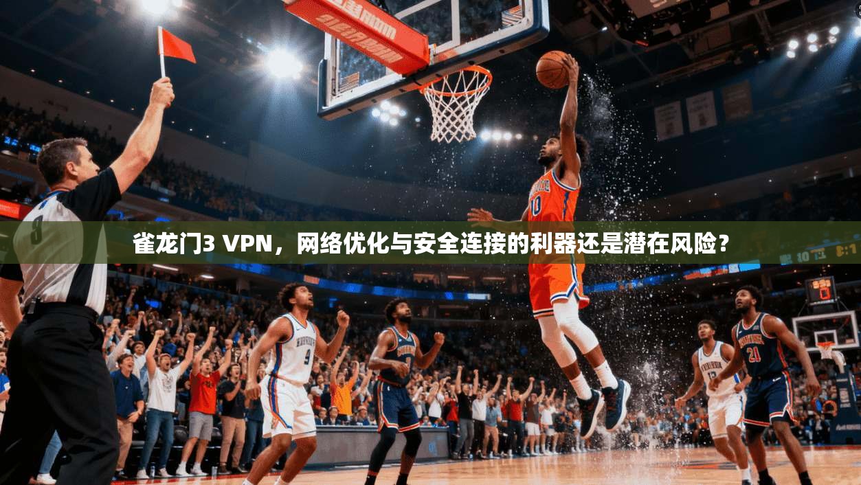 雀龙门3 VPN，网络优化与安全连接的利器还是潜在风险？