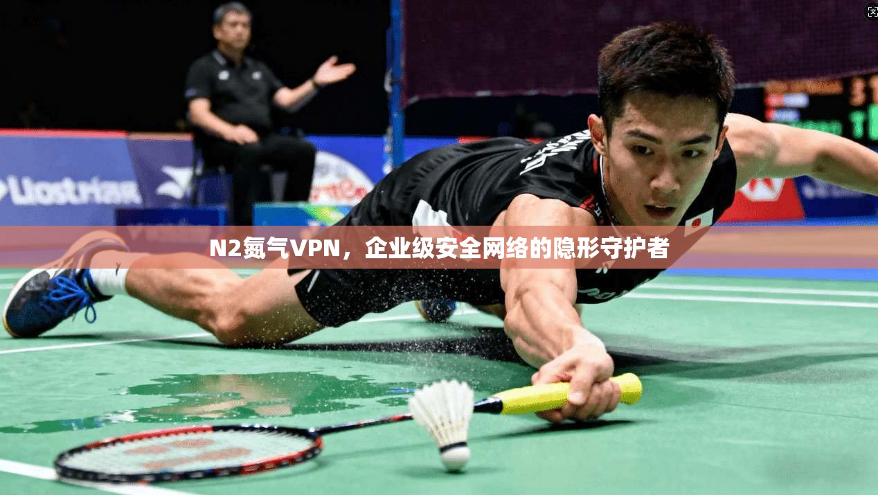 N2氮气VPN，企业级安全网络的隐形守护者