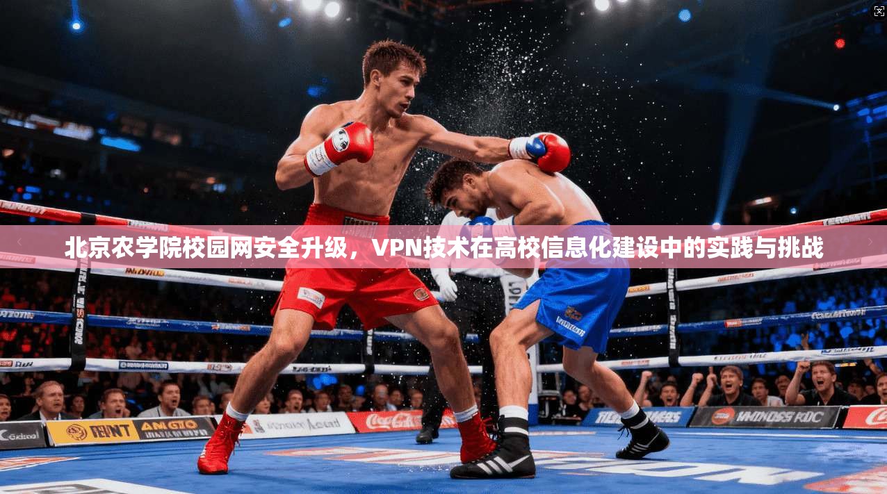 北京农学院校园网安全升级,VPN技术在高校信息化建设中的实践与挑战 北京农学院校园网安全升级,VPN技术在高校信息化建设中的实践与挑战